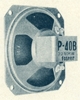 P-40B